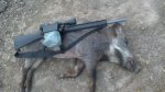 2012-11-10_06-59-40_508.jpg