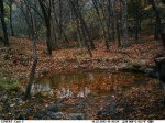 Cold Hog Water Hole 1.JPG