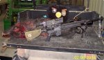100_1845reduced.JPG