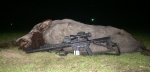 Hog kill_1 3-17-15.JPG