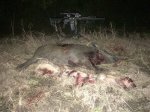 Hog Kill_2 3-17-15.JPG