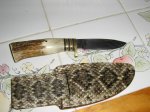 Rattlesnake sheath 001.JPG