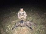 Second Boar shot at night.JPG