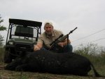hogs at rigos 002.JPG