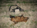 IMG_0442.JPG