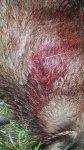 20160415_010241.jpg