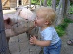 baby kissing pig.jpg