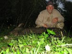 Hog down 002.JPG