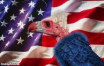 America-Vulture-in-Front-of-the-Flag--100223.jpg
