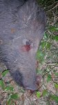 20161125_225606.jpg