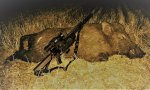 DC boar kill 190 yds 6-22-17 (3).jpg