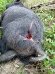 thumbnail_IMG_20170630_070005047.jpg