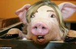 Funny-Hillary-Clinton-With-Pig-Face-Photoshop-Image.jpg