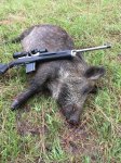 Pig121.JPG