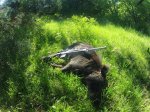 GOPR2658.JPG
