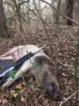 ZonePigs8.JPG