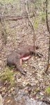 20190301_094743.jpg