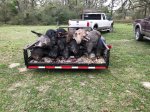 2019 Hog Hunt.jpg