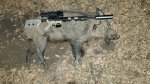 Hog080x.jpg