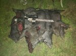 20200428_Hogs Meadow.jpg
