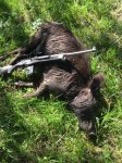 BlackPig5.JPG