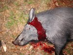 IMG_20201212_233000204.jpg