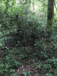 D516D145-E681-4F0D-9B70-F8D1790271CE.jpeg